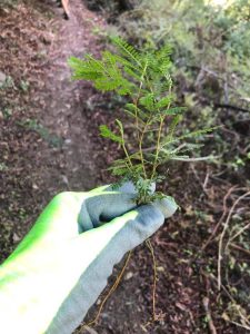 308465331_3260883957512594_3054943686926306185_n-225x300 308465331_3260883957512594_3054943686926306185_n