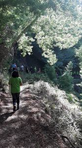 308471769_643420133897183_6497371742822733668_n-167x300 308471769_643420133897183_6497371742822733668_n