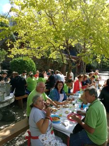 308619109_502303687985412_2227433989775482165_n-225x300 308619109_502303687985412_2227433989775482165_n