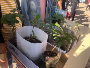 WhatsApp-Image-2023-05-22-at-11.53.55-10-300x225 WhatsApp Image 2023-05-22 at 11.53.55 (10)