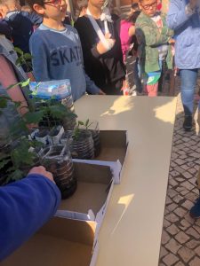 WhatsApp-Image-2023-05-22-at-11.53.55-3-225x300 WhatsApp Image 2023-05-22 at 11.53.55 (3)