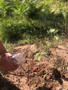 WhatsApp-Image-2023-05-22-at-11.54.41-10-225x300 WhatsApp Image 2023-05-22 at 11.54.41 (10)