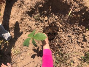 WhatsApp-Image-2023-05-22-at-11.54.41-3-300x225 WhatsApp Image 2023-05-22 at 11.54.41 (3)