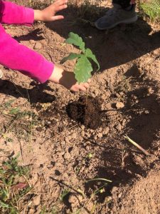 WhatsApp-Image-2023-05-22-at-11.54.41-4-225x300 WhatsApp Image 2023-05-22 at 11.54.41 (4)