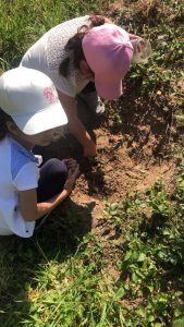 WhatsApp-Image-2023-05-22-at-11.54.41-6-169x300 WhatsApp Image 2023-05-22 at 11.54.41 (6)