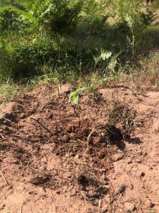 WhatsApp-Image-2023-05-22-at-11.54.41-8-225x300 WhatsApp Image 2023-05-22 at 11.54.41 (8)