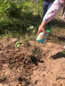 WhatsApp-Image-2023-05-22-at-11.54.41-9-225x300 WhatsApp Image 2023-05-22 at 11.54.41 (9)